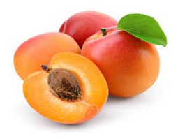 apricots (1)